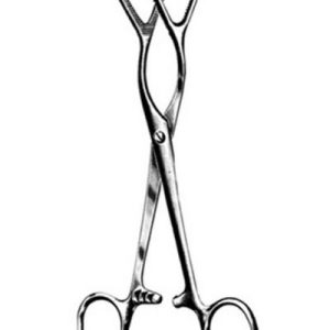 Mouth and Toungh Gag