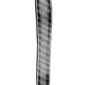 Mouth and Toungh Gag